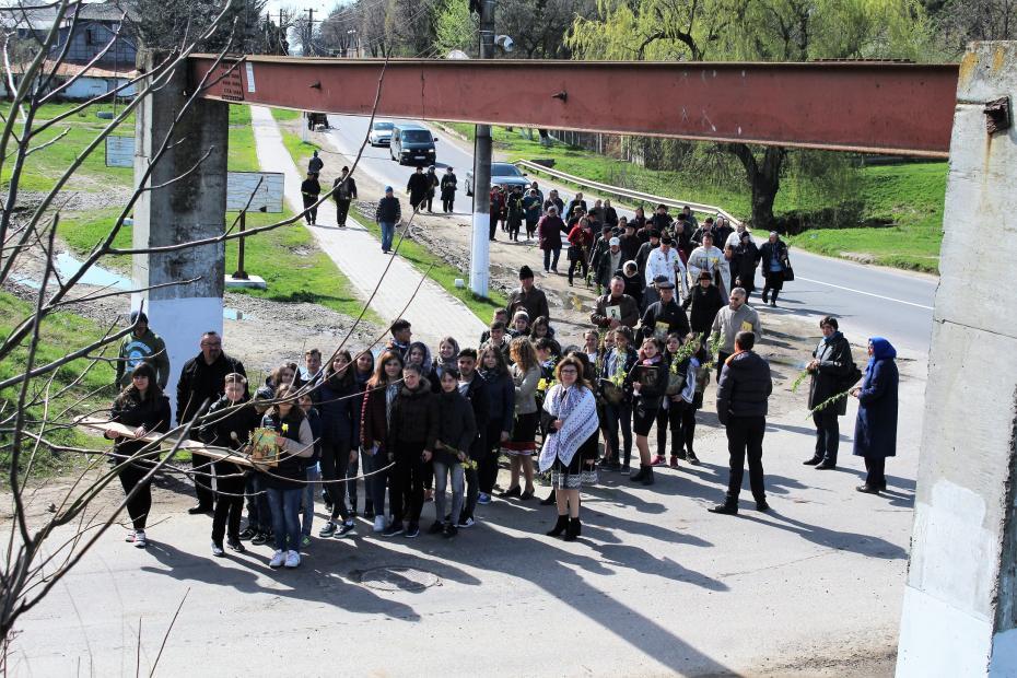Procesiune Florii Ruginoasa 2017 Procesiune Florii Ruginoasa 2017