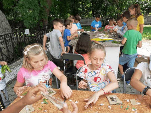 Tabara din pridvorul satului Ruginoasa 2019 Tabara din pridvorul satului Ruginoasa 2019